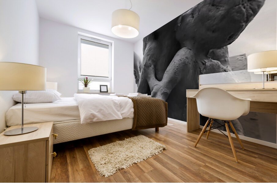 Alouette - 1 Mural print