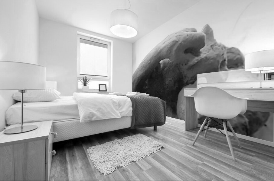 Beloved Companion 2 - 2 Mural print