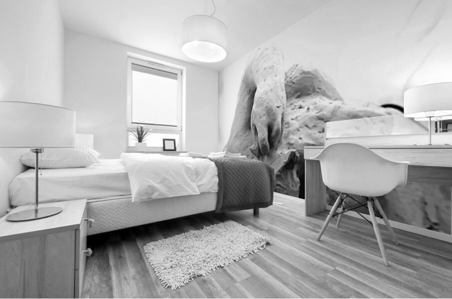 Beloved Companion 2 - 4 Mural print