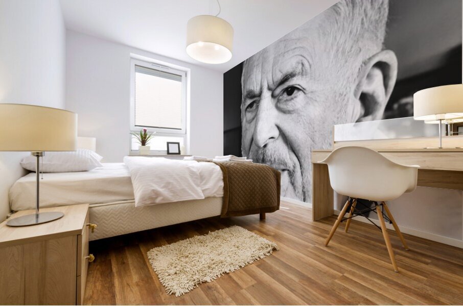 20221124 125204 Mural print