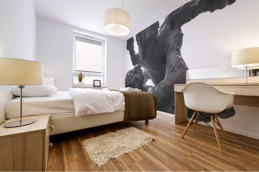 PSX 20250720 231557 Mural print