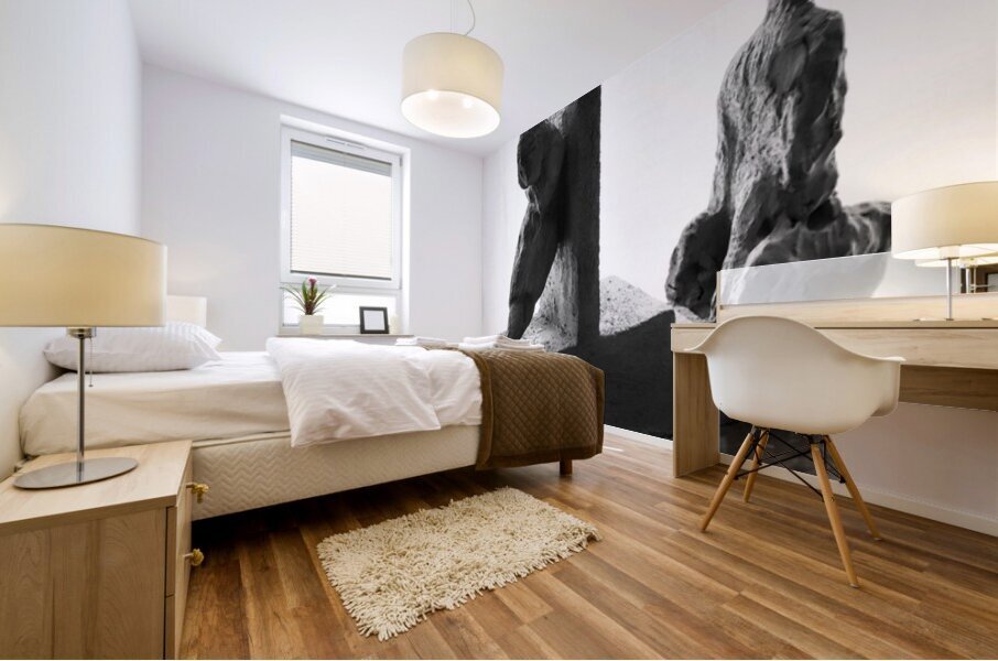 PSX 20250802 181751 Mural print