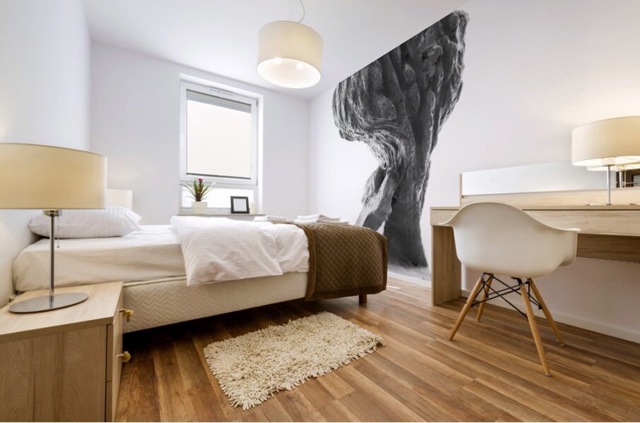 PSX 20250821 144939 Mural print