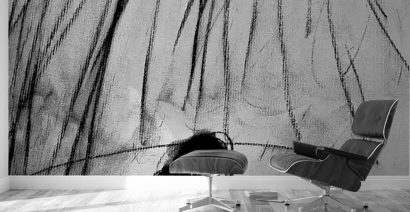 PSX 20240722 225238 Wall Murals