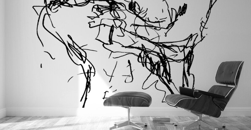 PSX 20240722 175522 Wall Murals