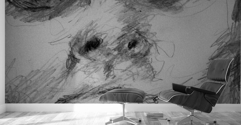 PSX 20240722 215310   Copy Wall Murals