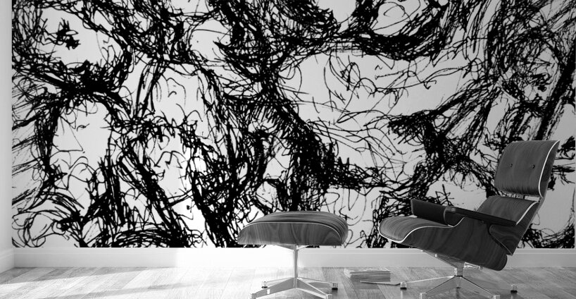 PSX 20241125 212512 Wall Murals