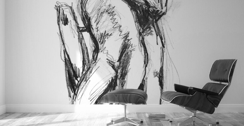 PSX 20241116 214340 Wall Murals