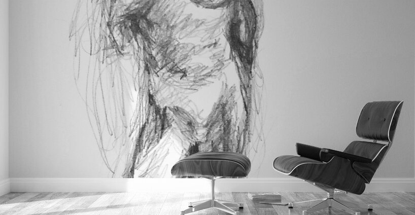 PSX 20241116 231342 Wall Murals