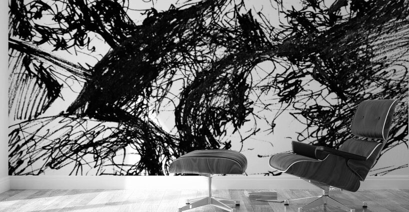 20241126 234338 3 Wall Murals