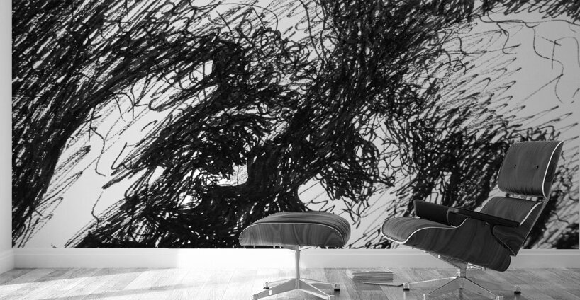 PSX 20241224 180707 Wall Murals