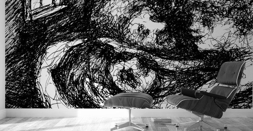 PSX 20241225 052636 Wall Murals