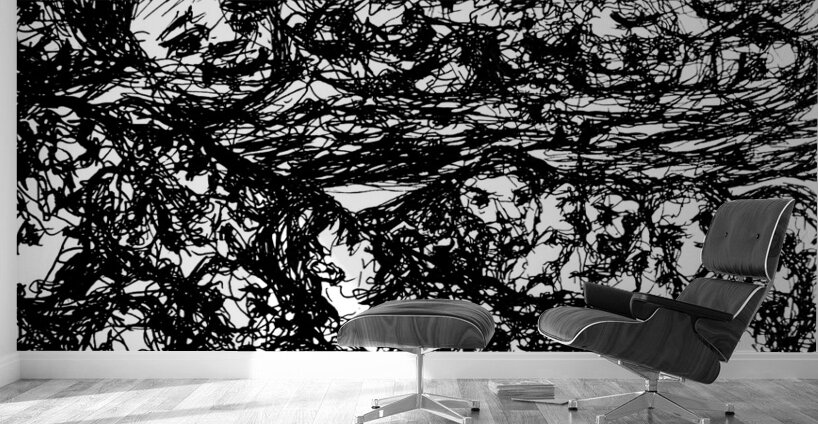 20240315 001943 3 Wall Murals