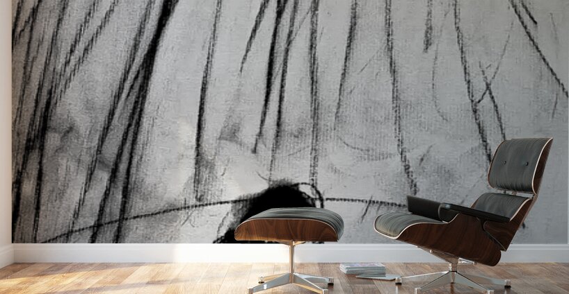 PSX 20240722 225238 Wall Murals