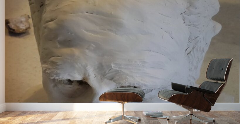 20230817 165107 Wall Murals