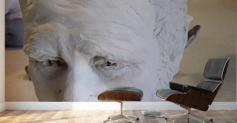 20230817 165011 Wall Murals