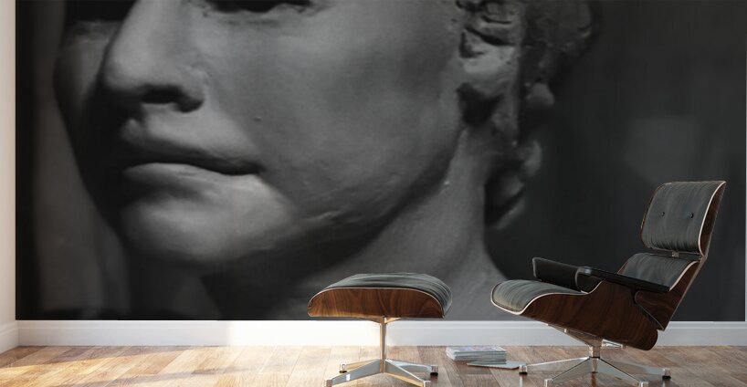 Screenshot 20220512 093315 Gallery 2 EDIT Wall Murals