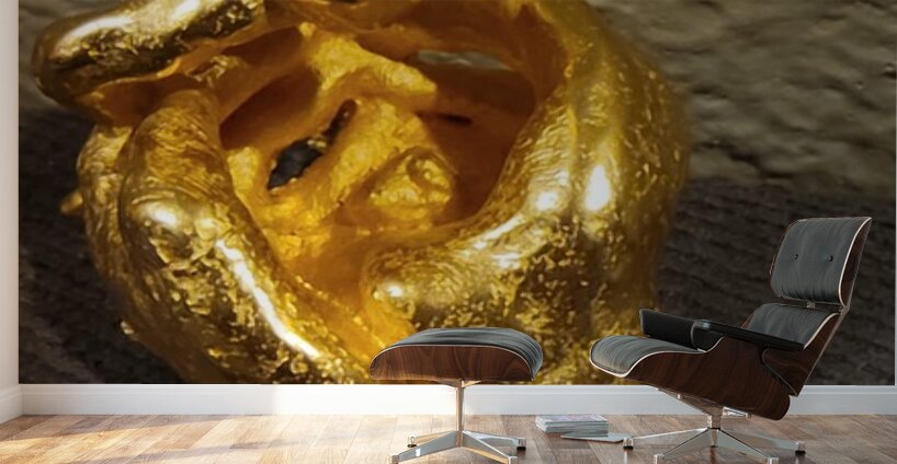 20240203 221442 Wall Murals