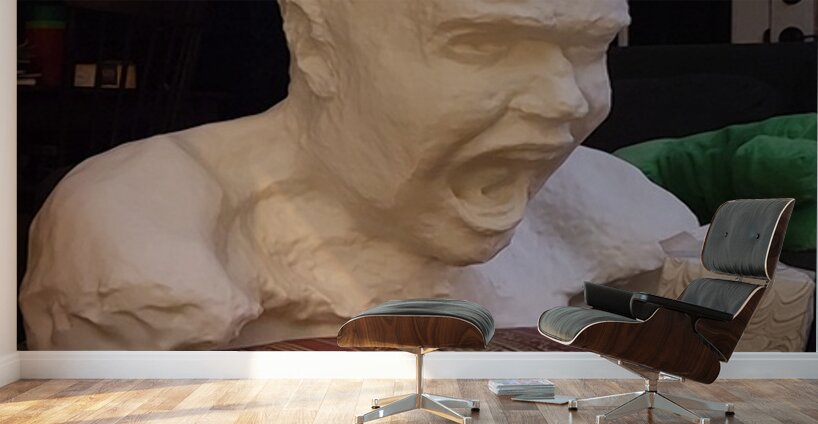 20231206 235031 Wall Murals