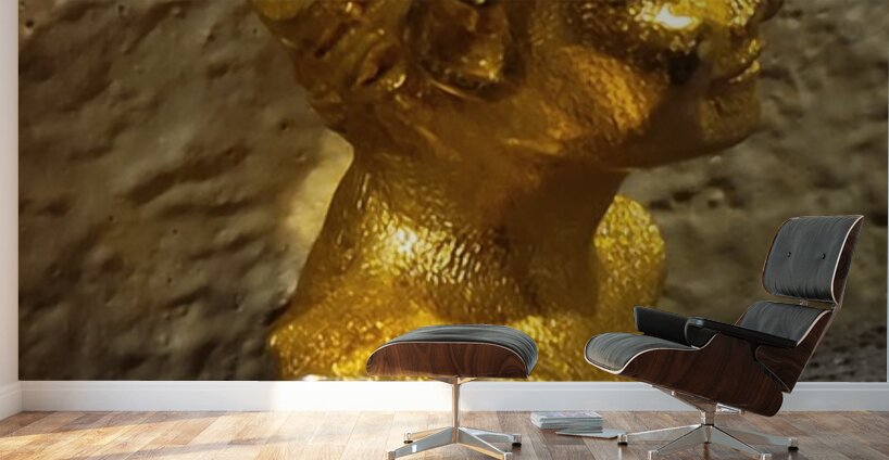 20240203 221622 Wall Murals