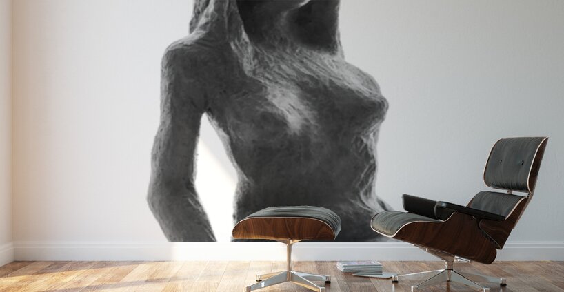 PSX 20250330 143032 Wall Murals