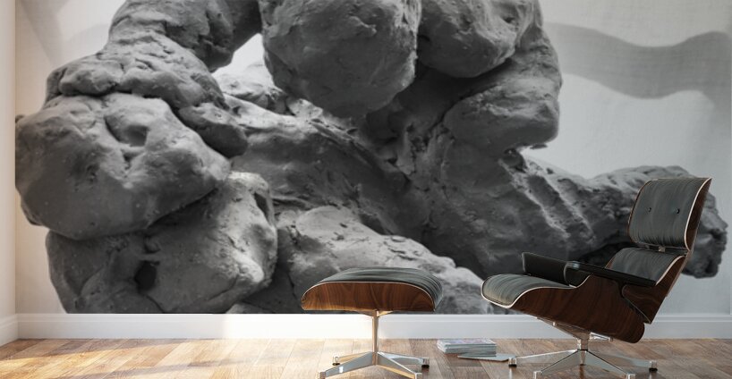 PSX 20250621 082755 Wall Murals