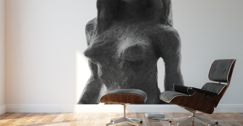 PSX 20250330 141753 Wall Murals