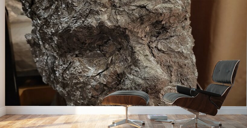 20220227 052623 Wall Murals