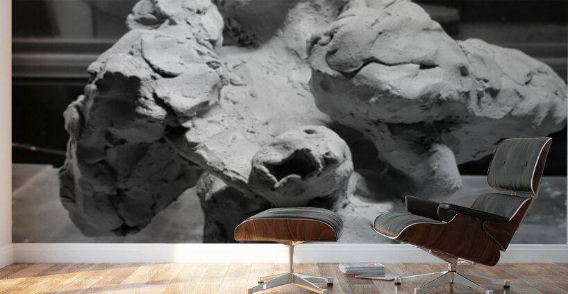 PSX 20250622 233401 Wall Murals