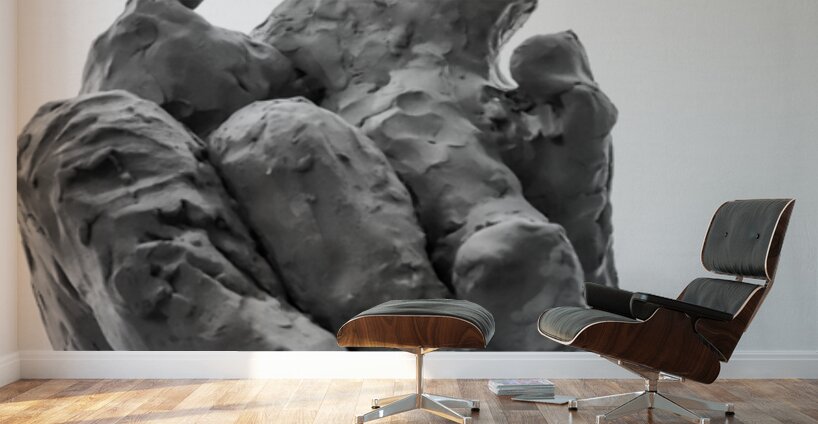 PSX 20250710 184554 Wall Murals