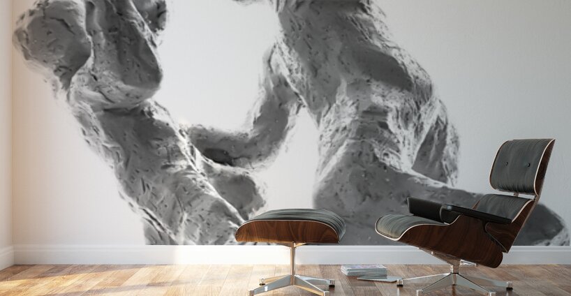 PSX 20250622 090031 Wall Murals