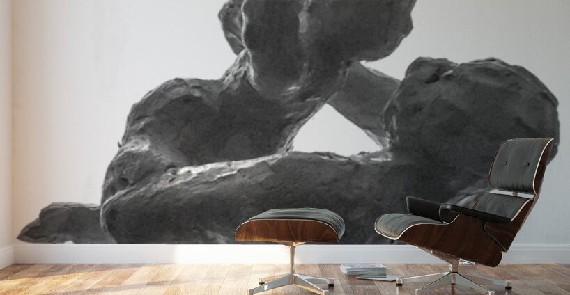 PSX 20250720 234936 Wall Murals