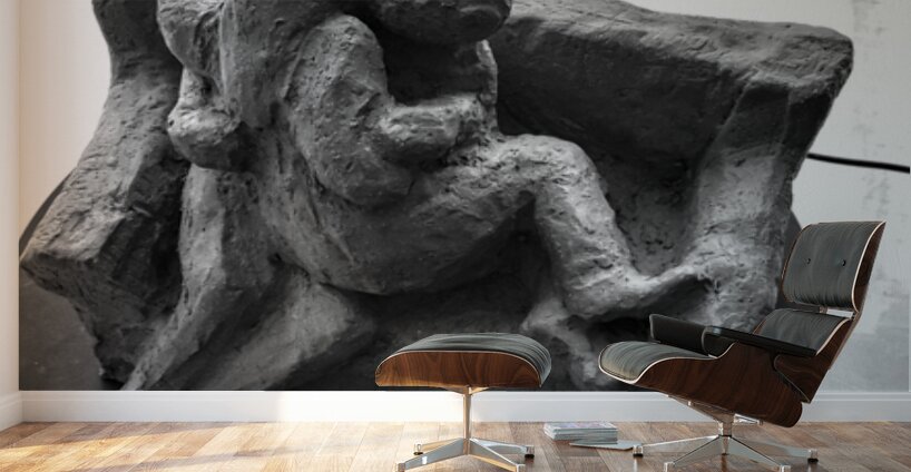 PSX 20250729 154950 Wall Murals