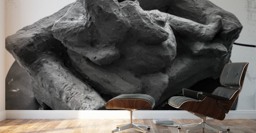 PSX 20250729 154826 Wall Murals