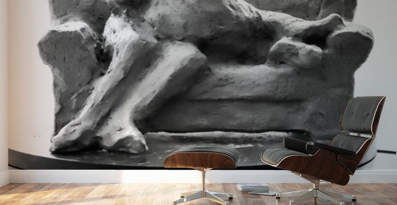 PSX 20250729 154117 Wall Murals