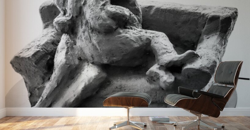 PSX 20250729 160021 Wall Murals