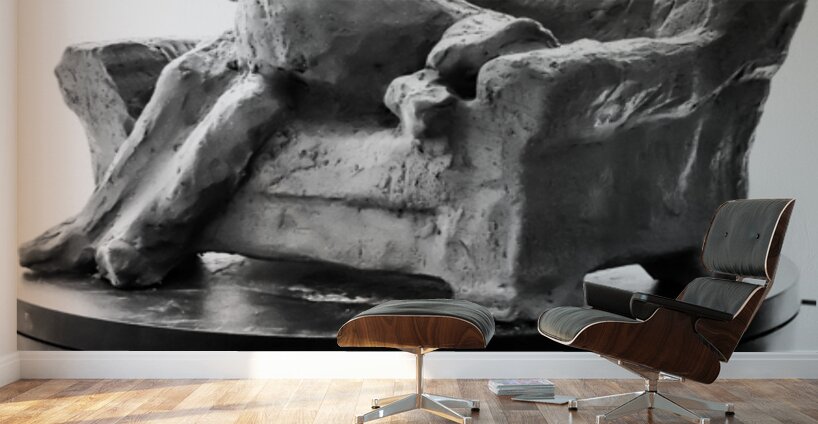 PSX 20250729 154346 Wall Murals