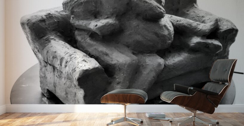 PSX 20250729 155901 Wall Murals