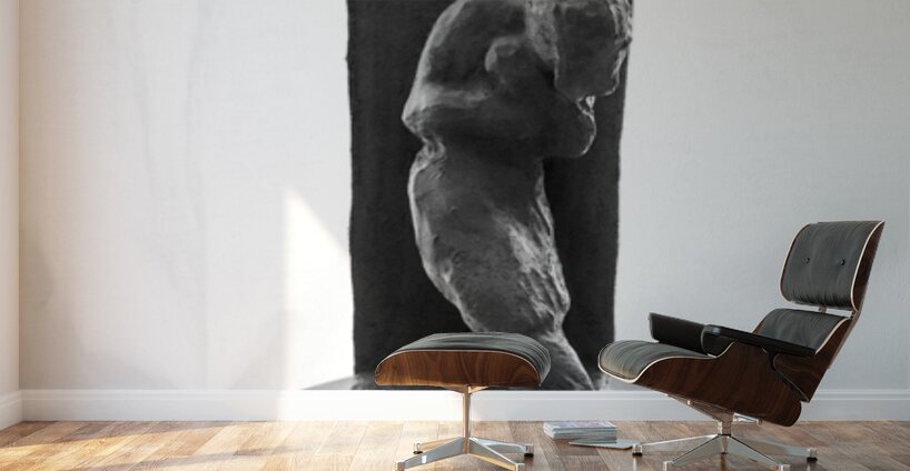 PSX 20250802 181937 Wall Murals