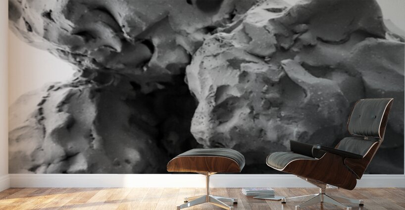 Beloved Companion 1 --- PSX 20250808 175342 Wall Murals