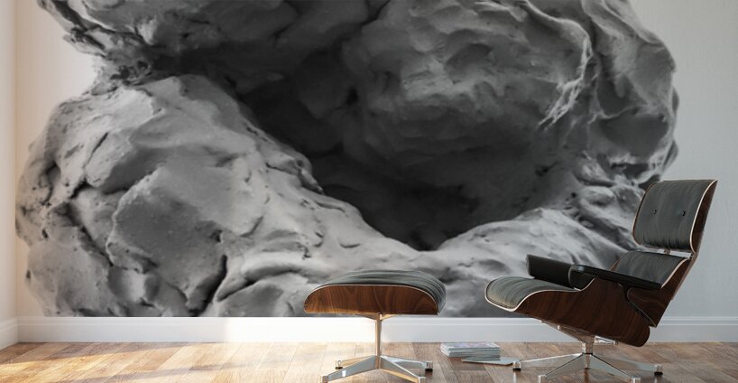 Beloved Companion 1 --- PSX 20250808 180623 Wall Murals