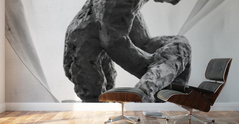 PSX 20250825 120315 Wall Murals