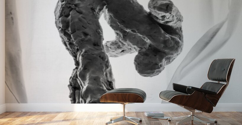 PSX 20250825 121403 Wall Murals