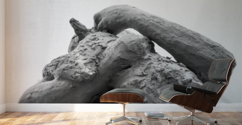 PSX 20250816 122209 Wall Murals