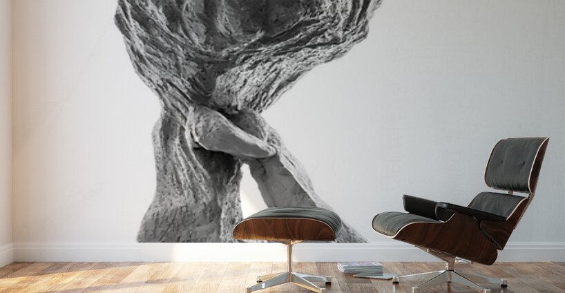 PSX 20250821 144301 Wall Murals