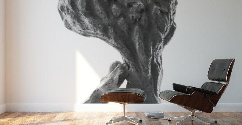 PSX 20250821 144840 Wall Murals