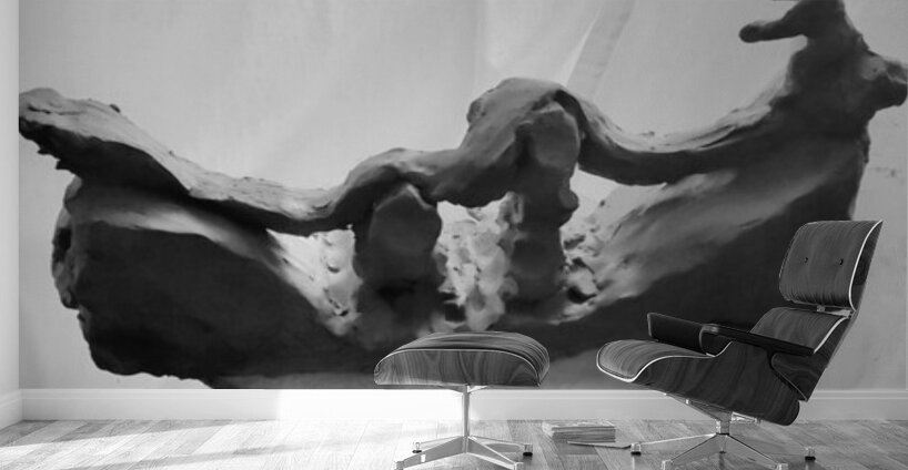 20250917 010724 2 Wall Murals