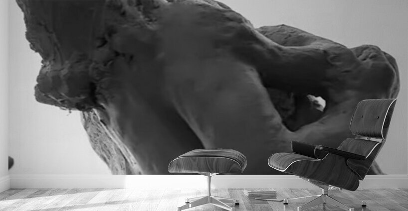 Alouette - 1 Wall Murals