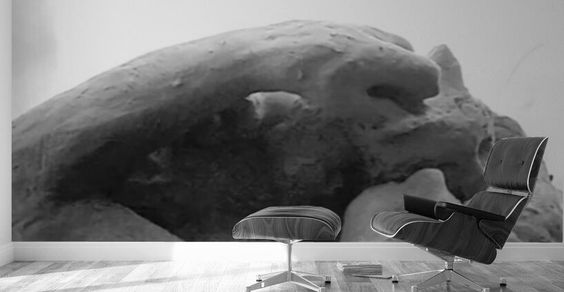 Beloved Companion 2 - 2 Wall Murals