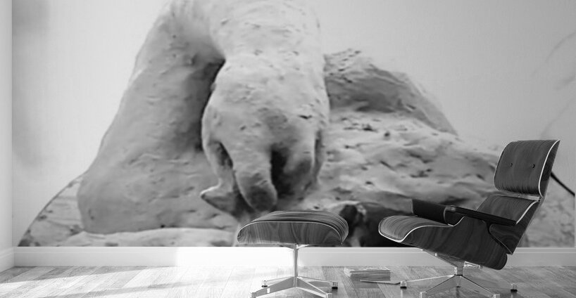 Beloved Companion 2 - 4 Wall Murals